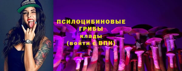 твердый Белоозёрский