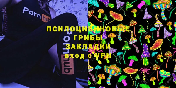 твердый Белоозёрский