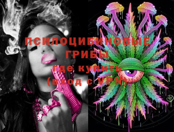 не бодяженный Белокуриха